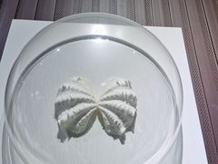 -贝壳王国博物馆