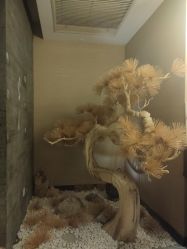 点击看大图 -iSpa