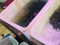 -金海椒罐罐鲢鱼(东方桂苑店)