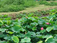 -美兰湖景区