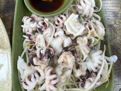 芥末海菊花-贞姨美食·老字号海鲜大排档