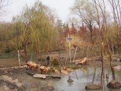 -溱湖国家湿地公园