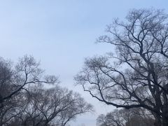 -北陵公园