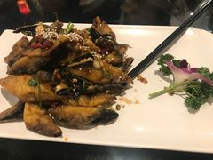 炸茄子-刘胖子家常菜·蹄花焖藕(中南店)