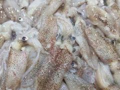 -渔码头食府(蓬莱阁店)