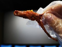 -帝煌烤卤(羊子街店)