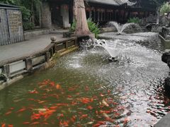 -白帝城·瞿塘峡景区
