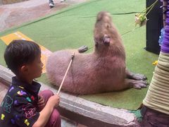 -正佳雨林生态植物园
