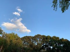 -四川大学(望江校区)