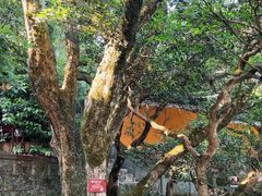 -普陀山慧济禅寺