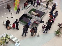 iphone_upload_pic-方恒购物中心(望京小街店)