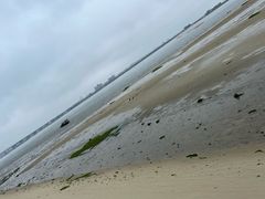 -北海金海湾红树林生态旅游区