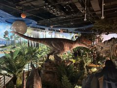 -陕西自然博物馆