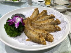 -金米箩大酒店(五角场店)