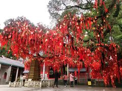 -国恩寺
