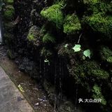 去野餐吧～姐妹们！