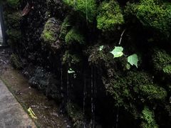 -鹿野苑石刻艺术博物馆