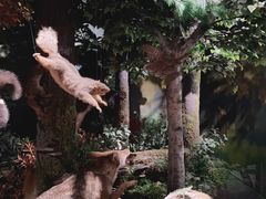 -陕西自然博物馆