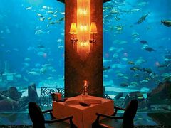 -迪拜帆船酒店海底餐厅
