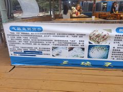 -蓝湾碧波·老字号·疍家非遗海上餐厅