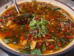 -飞虹鱼馆(春华路店)