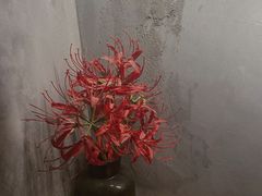 -BE NORMAL CAFE(霞溪路店)