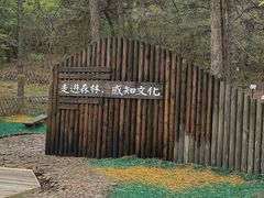 -北京西山国家森林公园