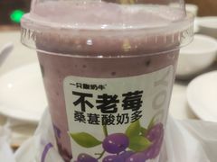 -一只酸奶牛(丹尼斯大卫城店)