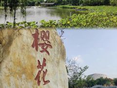 -映月湖公园