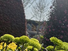 -思思油炸(会堂东路店)