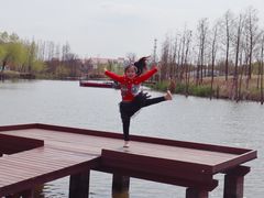 -上海长兴岛郊野公园