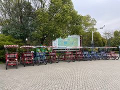 -上海海湾国家森林公园