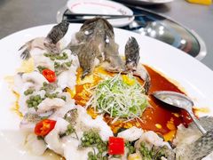 -飞尝蚝·顺德菜·鱼生(顺德总店)