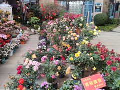 -碧桂园十里银滩