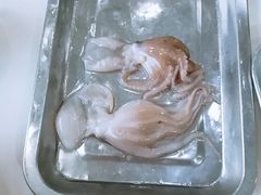 -大连海鲜斑鱼火锅(安平店)