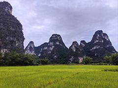 -明仕田园