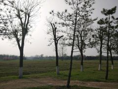 -汉长安城未央宫国家考古遗址公园