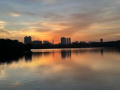 -海珠湖公园