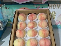 -老袁家蜜桃农场·阳山水蜜桃