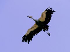 -哈尔滨北方森林动物园