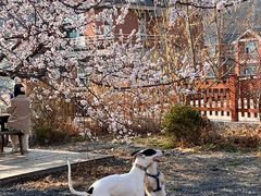 -北马山庄植趣咖啡
