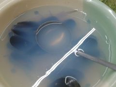 -老福洲(西洪路店)