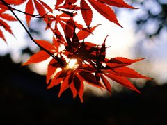 -北寺塔