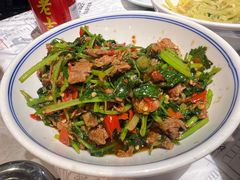 -壹盏灯(惠农店)