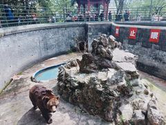 -赭山公园