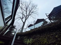 -青竺·青竹茶舍(断桥店)