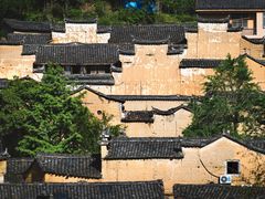 -杨家堂村
