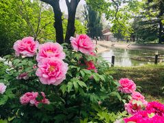 -国家植物园南园