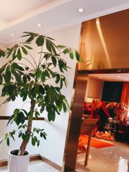 -私家美林护肤造型