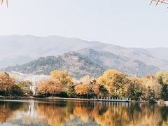 -国家植物园